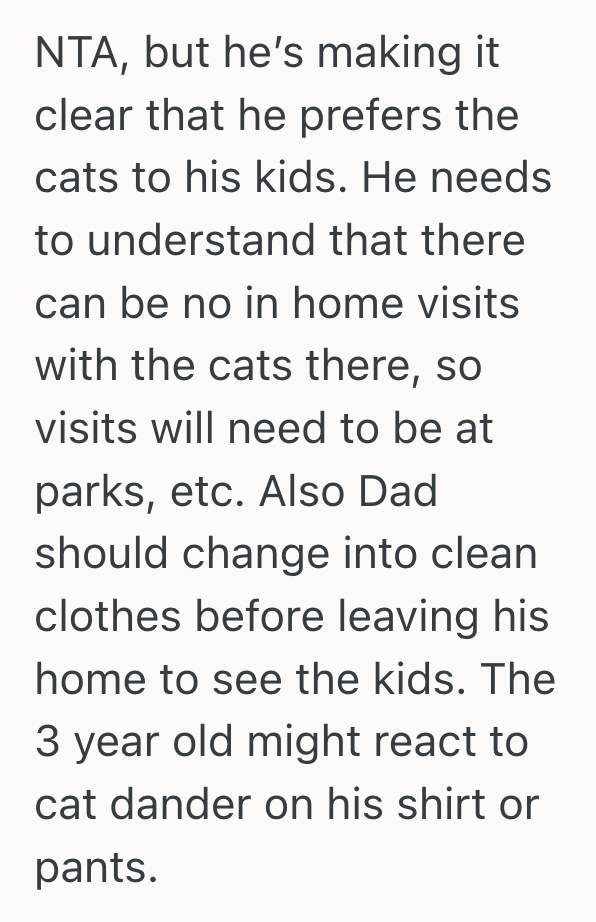 Screenshot 2025 10 24 at 6.52.42 PM Mother Pleaded With Her Ex To Rehome His Cats After Their Son’s Allergy Sent Him To The Hospital, But Her Ex Refused