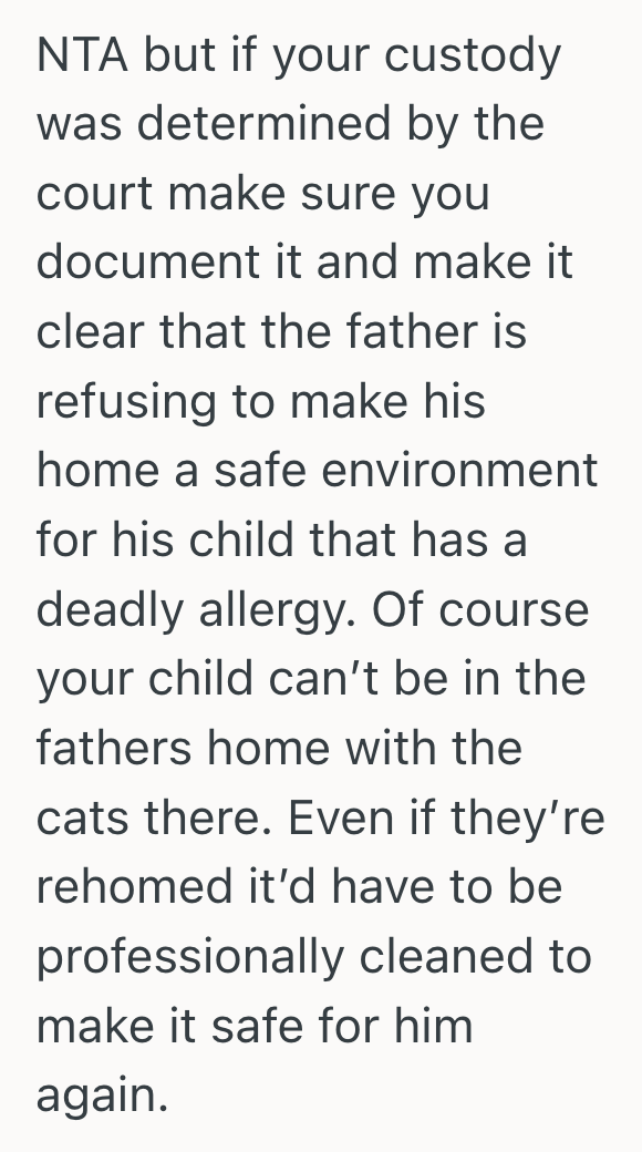 Screenshot 2025 10 24 at 6.55.51 PM Mother Pleaded With Her Ex To Rehome His Cats After Their Son’s Allergy Sent Him To The Hospital, But Her Ex Refused