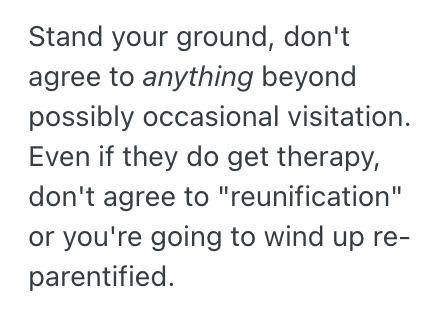 Screenshot 2025 10 24 at 8.18.16 PM Young Man Was Urged To Reunite With His Younger Siblings After Foster Care, But He Thinks Its Not A Good Idea Because Of Their Behavioral Issues