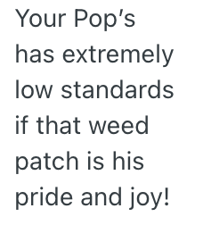 Screenshot 2025 10 29 at 2.03.29 PM Son Always Mowed His Dads Lawn, But After He Complained About the Job He Did, He Never Cut it Again
