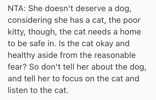 Screenshot 2025 10 30 at 1.33.11 AM Sibling Didnt Tell Her Neglectful Sister Where She Would Be Getting Her New Dog, So Her Sister Got Upset And Called Her Unreasonable