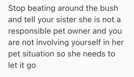 Screenshot 2025 10 30 at 1.33.53 AM Sibling Didnt Tell Her Neglectful Sister Where She Would Be Getting Her New Dog, So Her Sister Got Upset And Called Her Unreasonable