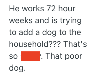Screenshot 2025 10 30 at 3.50.43 PM Woman Made It Clear She Only Wanted Cats In Her Home, So A Huge Argument Ensued When Her Boyfriend Said He Wanted A Dog