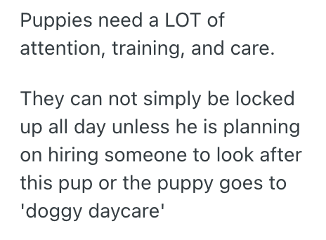 Screenshot 2025 10 30 at 3.51.19 PM Woman Made It Clear She Only Wanted Cats In Her Home, So A Huge Argument Ensued When Her Boyfriend Said He Wanted A Dog