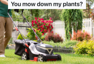 Next Door Neighbor Mowed Down Her Flowers, So She Cut The Stems Of The Neighbor’s Flowers In Half
