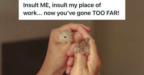 Person holding 2 small and cute rat babies