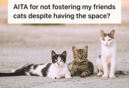 Woman Declined To Foster Her Friend’s Three Cats Because They Weren’t Neutered, And She Already Cares For Two Cats