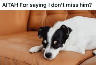 Man Rehomed His Puppy Because Work Got Crazy And He Needed To Go Back To The Office, So His Date Called Him A Jerk