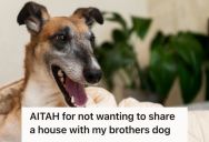 Woman Found Out That Her Brother Didn’t Move His Dog Out Of The House During Her Visit, So She Refused To Stay With Them To Protect Her Young Kids