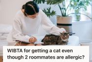 Young Woman Wanted To Get Her Own Cat, So She Asked Her Roommates And They Suddenly Claimed They Were Allergic