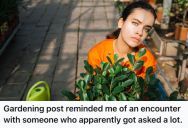 Woman Approached His Neighbor’s Gardeners Politely To Ask For Help, But She Was Shut Down Quickly Saying They Aren’t A Gardening Company