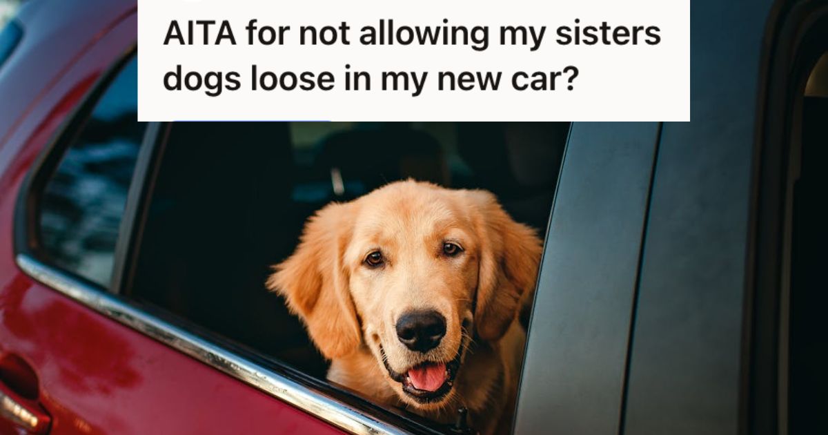 A dog inside a car looking through the window