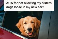 Woman Offered Her Sister A Free Ride To Grandma’s, But She Refused Her Demand To Bring Two Unruly Dogs And Let Them Roam Freely In The Car