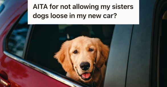 A dog inside a car looking through the window