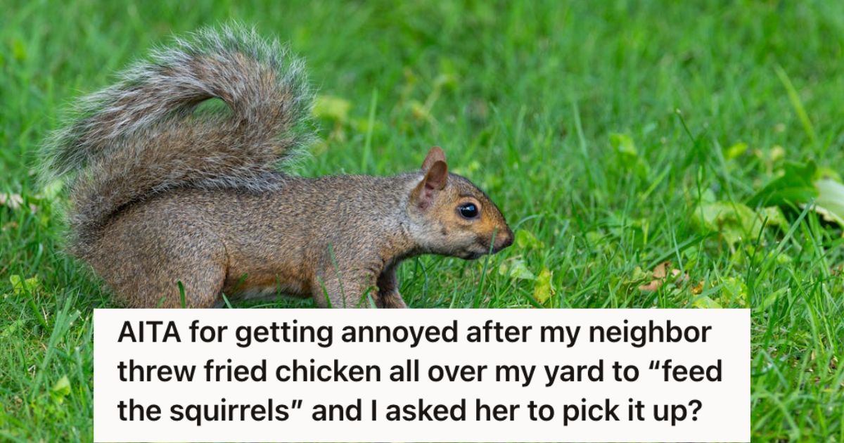 Squirrel on the grass