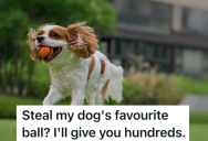 Neighbor Refuses To Give Back Any Balls That Go Over The Fence, So Kid Buys 200 Tennis Balls And Starts Throwing Them There Purposefully