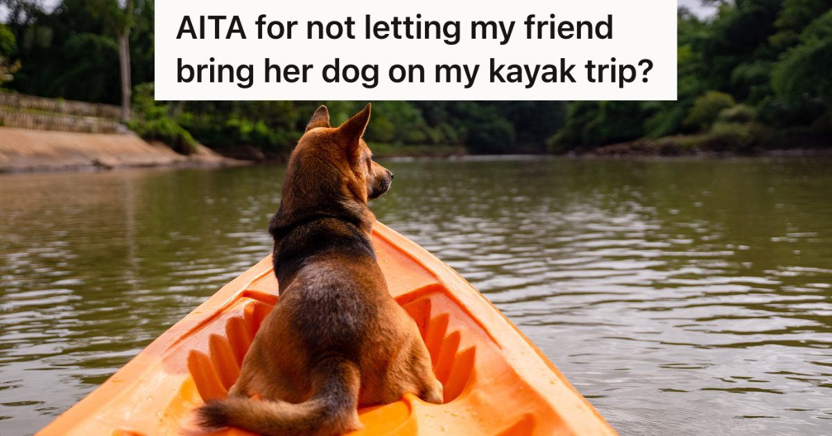 dog in an orange kayak