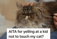 Cat Owner Takes Cat To The Vet For An Antibiotic Shot, But While She’s Waiting In The Lobby, A Child Wants To Pet Her Cat