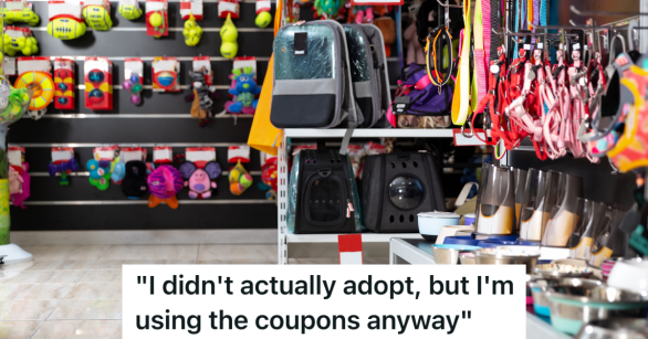 interior of pet store with toys, leashes, collars and bowls