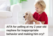 Her Nephew Was Bothering Her Dog, But When She Yelled At Him To Stop, Her Sister Got Mad At Her