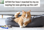 Woman’s Ex Wants Her To Take His Cat Since His New Girlfriend Is Allergic, But She Makes A Suggestion That He Finds Rude