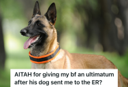 Woman’s Live-In Boyfriend’s Dog Sent Her To The ER, So She Tells Her Boyfriend He And His Dog Need To Move Out