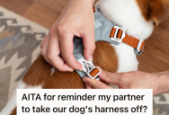 Woman’s Boyfriend Gets Upset When She Asks Him If He Took The Dog’s Harness Off, But She Doesn’t Want Their Dog To Sleep With His Harness On All Night