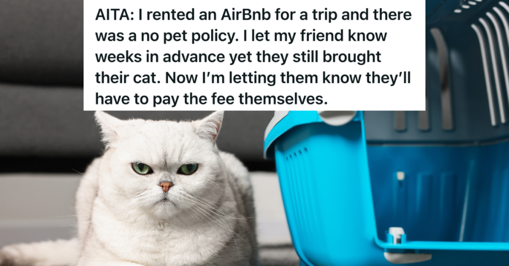 cat next to pet carrier