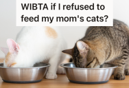 Woman’s Mom Often Asks Her To Feed Her Cats When She’s Out Of Town, But She Doesn’t Want To Feed Them Anymore Because She Doesn’t Plan Ahead