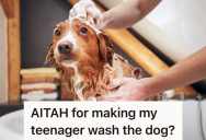 Dog Gets Sprayed By A Skunk When Teen Lets Him Outside Without A Leash, So Mom Forces Teen To Give The Dog A Bath