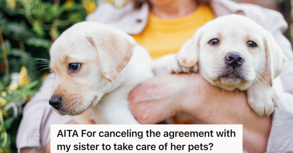 closeup of woman holding two puppies