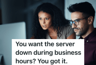 Corporate Executive Insists The Internal Server Needs To Go Offline During Business Hours, So The Office Erupts Into Chaos
