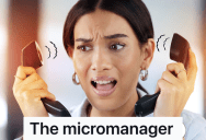 Team Lead Likes To Give Advice Even Though She Really Doesn’t Know What She’s Talking About, So One Person On Her Team Intentionally Interrupts Her Workflow