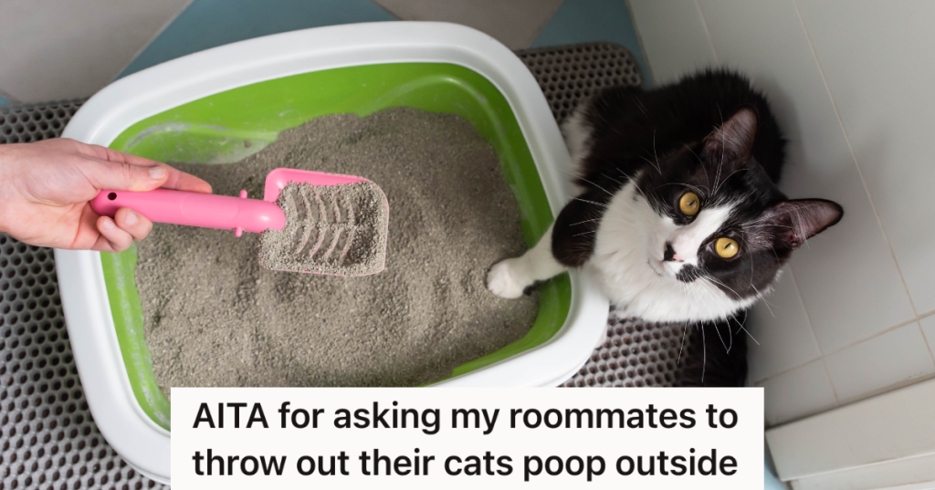 black and white cat next to littler box with pink scoop in it