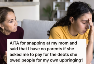 Single Mom Goes Into Debt While Raising Her Two Daughters All On Her Own, So Now She’s Asking One Of Those Children To Pay Off The Debt For Her