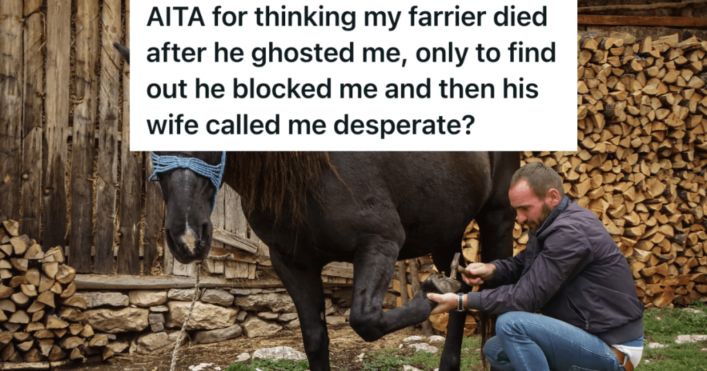 farrier putting horse shoe on horse