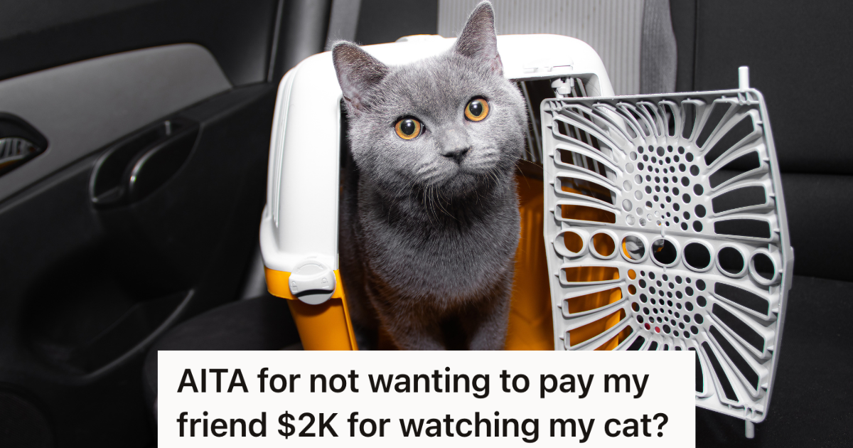 Womans Coworker Agrees To Watch Her Cat For Her For Six Months While Shes Deployed, But They Disagree On A Reasonable Rate gray cat in pet carrier in back seat of car