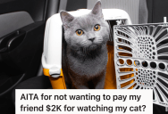 Woman’s Coworker Agrees To Watch Her Cat For Her For Six Months While She’s Deployed, But They Disagree On A Reasonable Rate