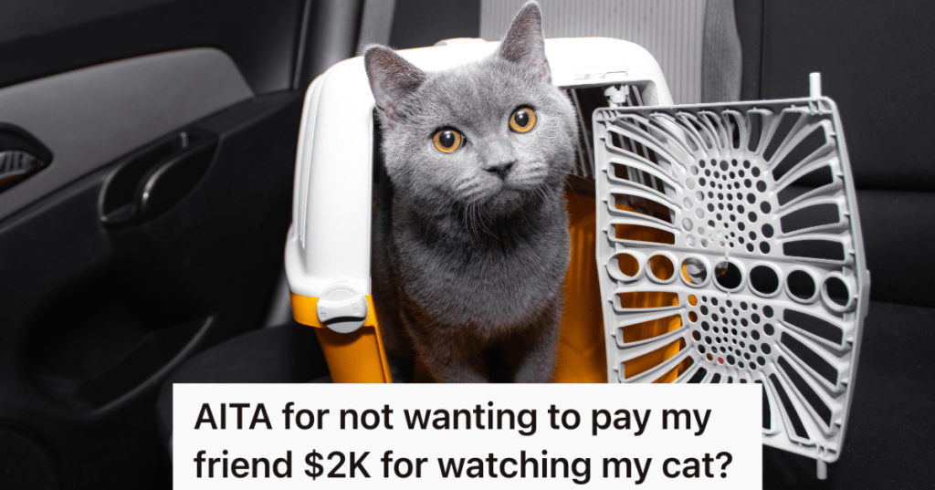 gray cat in pet carrier in back seat of car