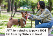 Woman’s Rescue Dog Gets Scared And Jumps Up At Her Mother-In-Law, So Now Their Mother-In-Law Wants Her To Pay To Fix Her Broken Ankle Bracelet