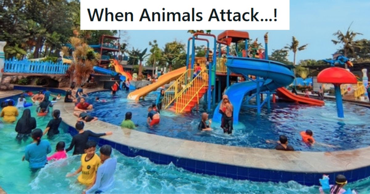 Water park
