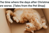 Customer Returned A Cat She Had Adopted, But The Cat Was Showing Signs Of Abuse And This Animal Shelter Owner Called The Police