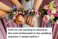 She’s The Main Bridesmaid At The Wedding, But The Bride’s Attitude Makes Her Not Want To Go Anymore