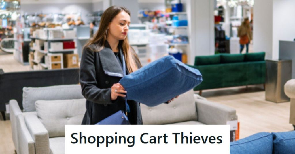 Woman shopping for furniture