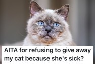 A New Cat Owner Is Being Pressured By Her Mom To Return It To A Shelter Because It’s Having Some Health Problems