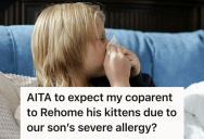 Mother Pleaded With Her Ex To Rehome His Cats After Their Son’s Allergy Sent Him To The Hospital, But Her Ex Refused