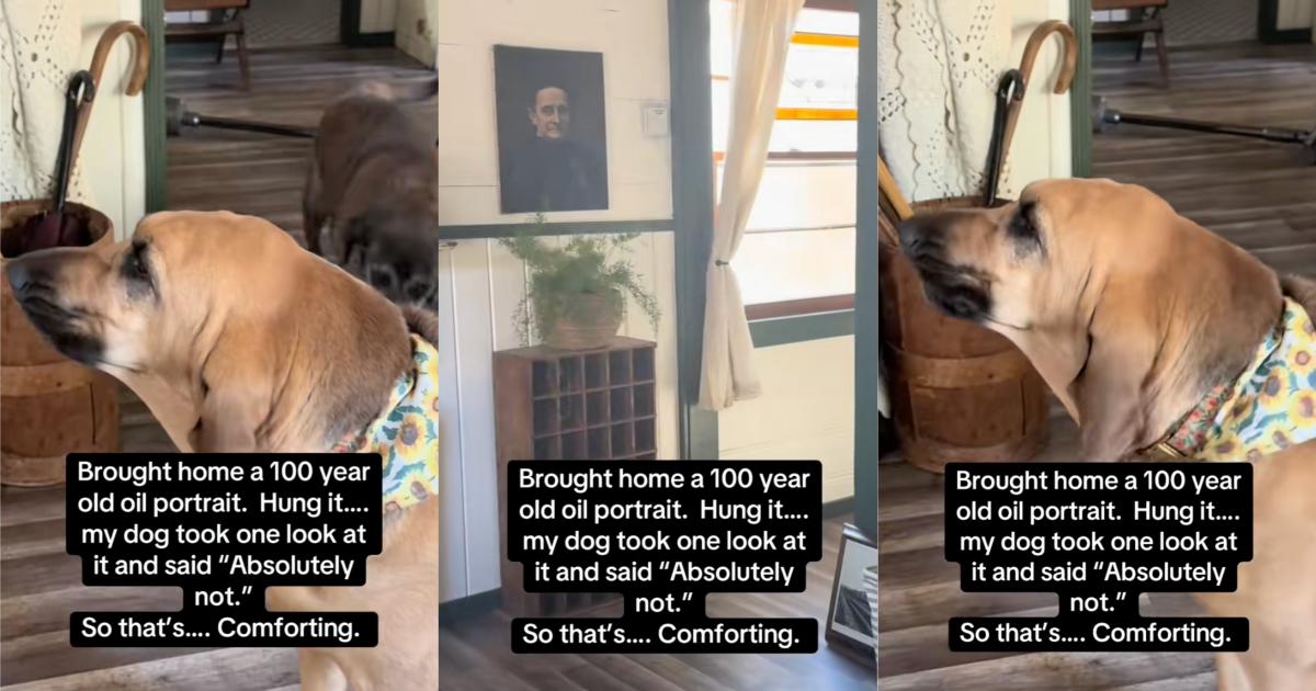dog barking at a painting