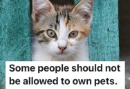 A Store Worker Saw A Cruel Man Abandon A Small Kitten On The Street, And They Later Found The Cat And Gave Him A Home