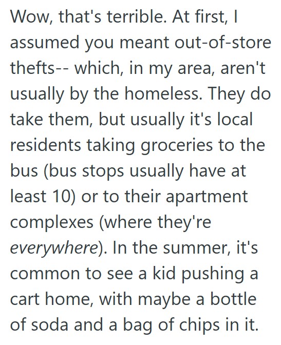 comment 1 27 A Customers Belongings Went Missing, And Some Teenagers Were Acting Very Suspicious, So When The Worker Searched The Area, She Found Her Stuff Hidden In A Bin Of Pillows