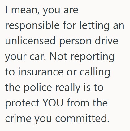 comment 1 39 Her Unlicensed Cousin Crashed Her Car, And Thinks She Should Say She Was Driving Instead Of Making Him Pay For It